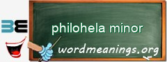 WordMeaning blackboard for philohela minor